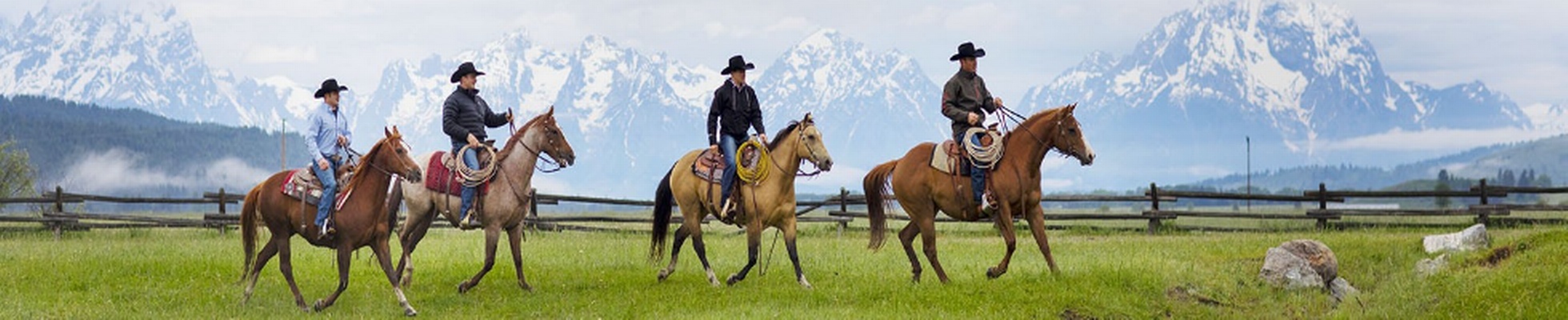 Ariat International logo