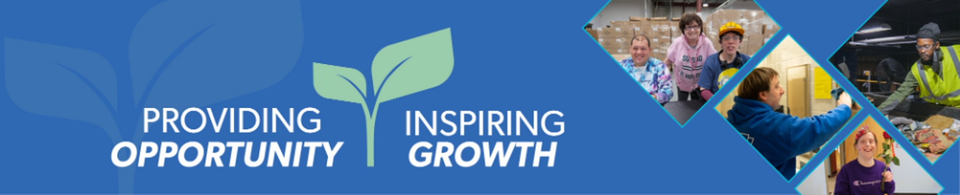 Company banner showing Visual Corporation branding