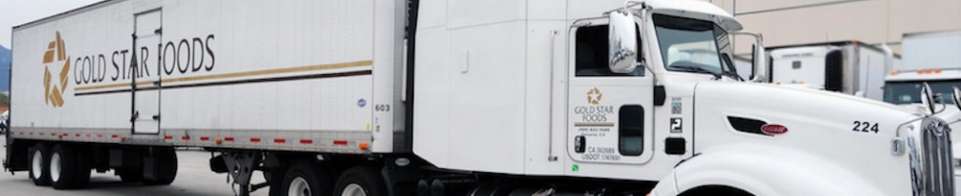 Company banner showing Visual Corporation branding