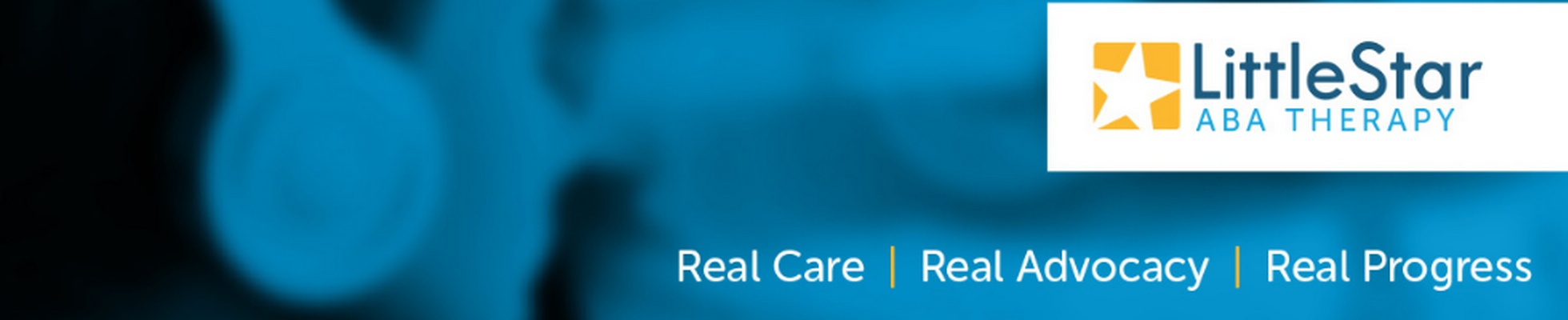 Company banner showing Visual Corporation branding