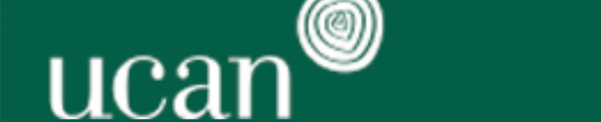 Company banner showing Visual Corporation branding
