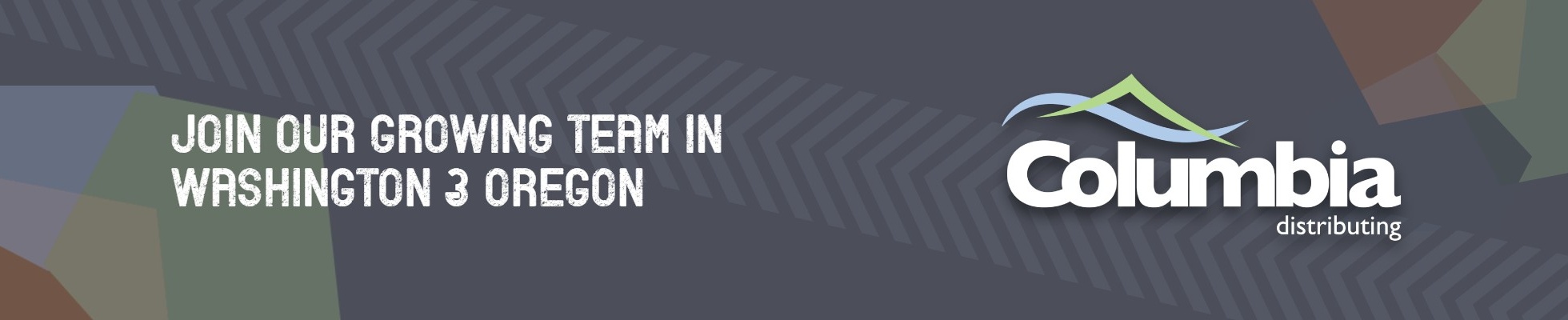 Company banner showing Visual Corporation branding