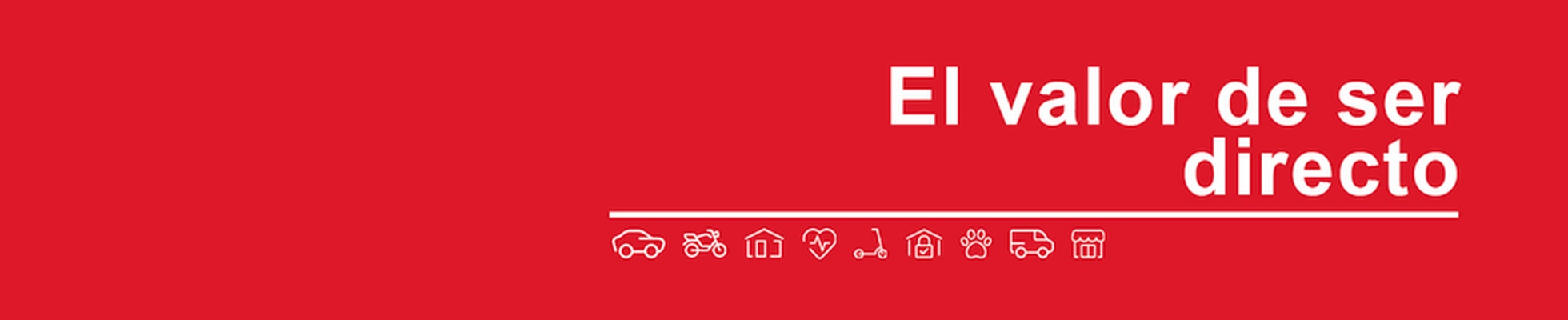 Company banner showing Visual Corporation branding