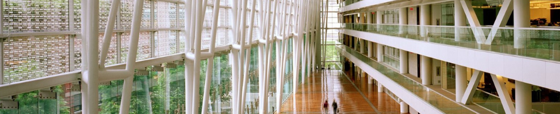 Company banner showing Visual Corporation branding
