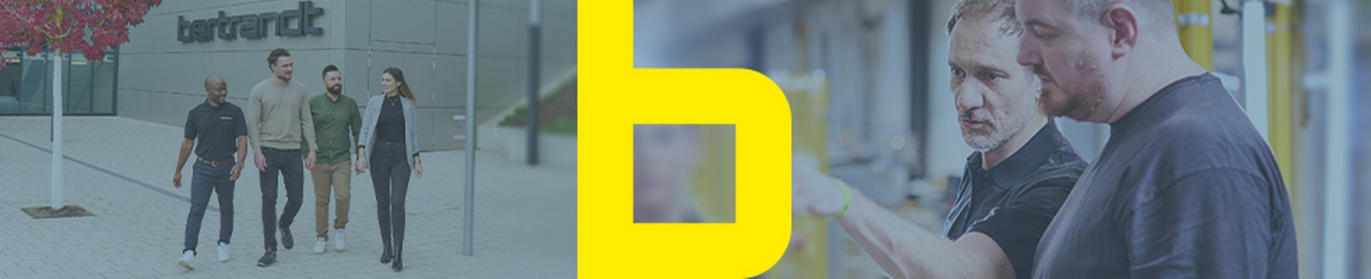 Company banner showing Visual Corporation branding