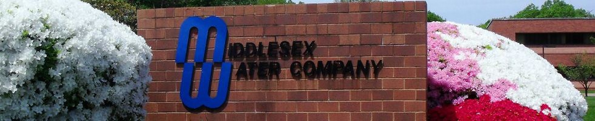 Company banner showing Visual Corporation branding