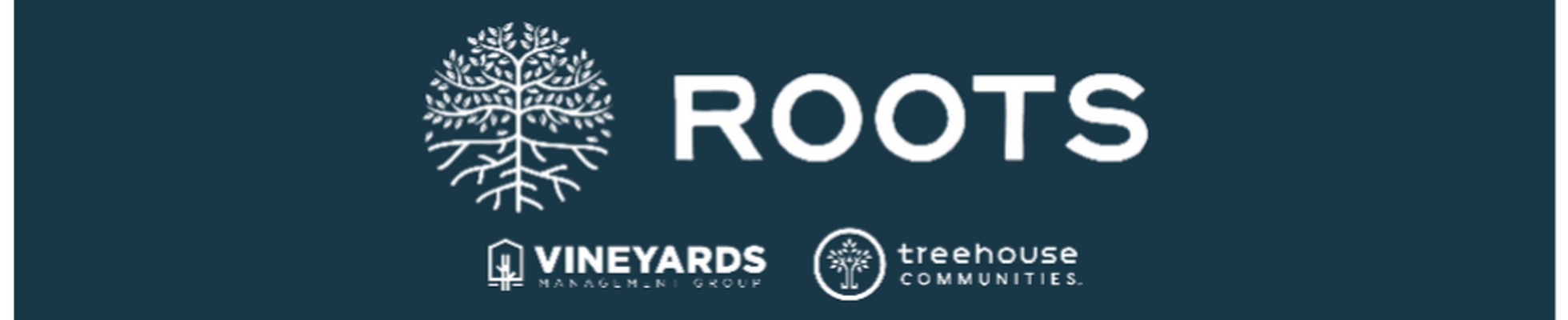 Company banner showing Visual Corporation branding