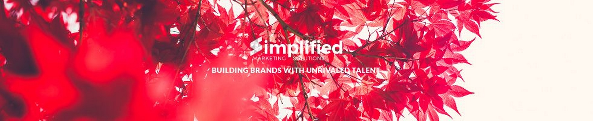 Company banner showing Visual Corporation branding