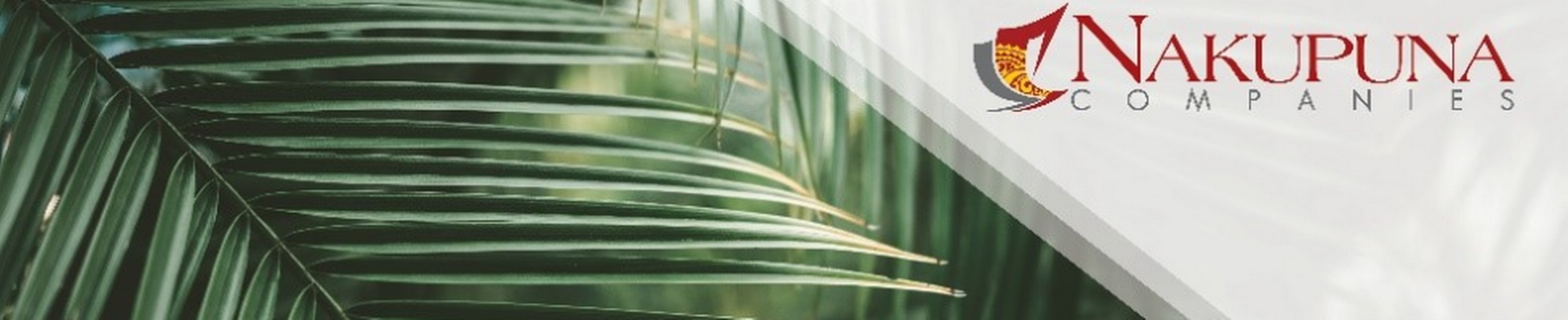 Company banner showing Visual Corporation branding