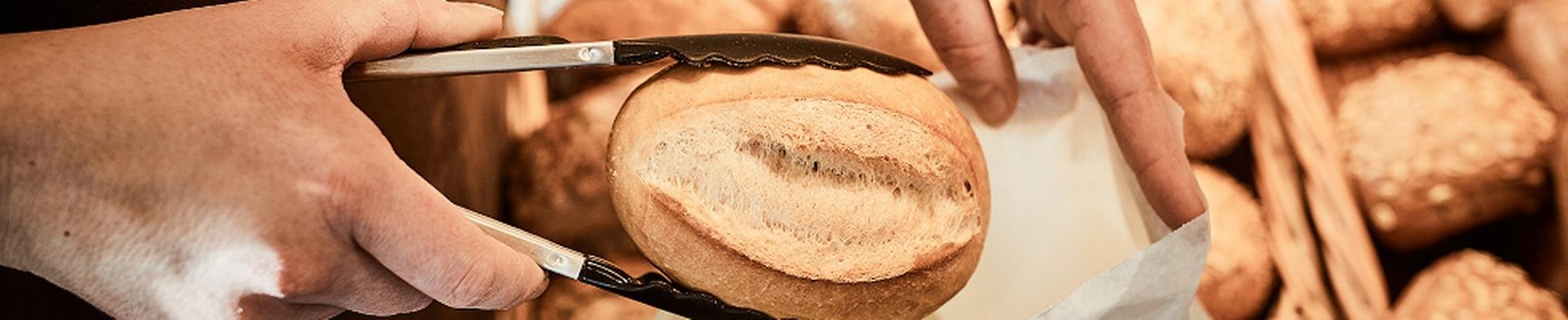 Schwälmer Brotladen Viehmeier GmbH & Co.KG logo