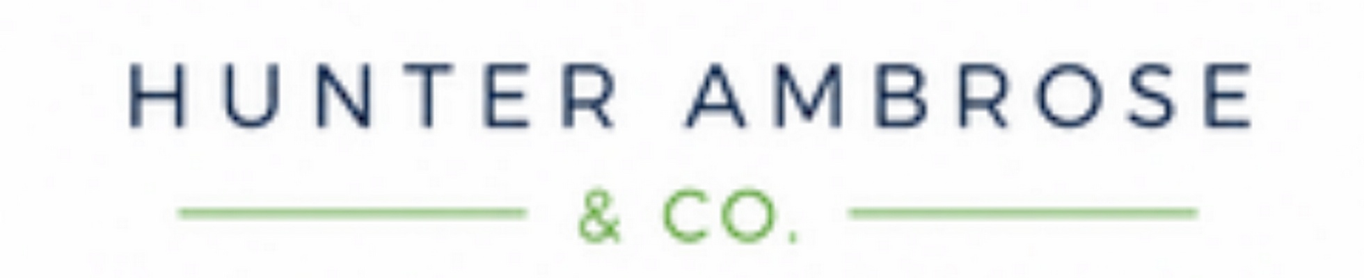 Company banner showing Visual Corporation branding