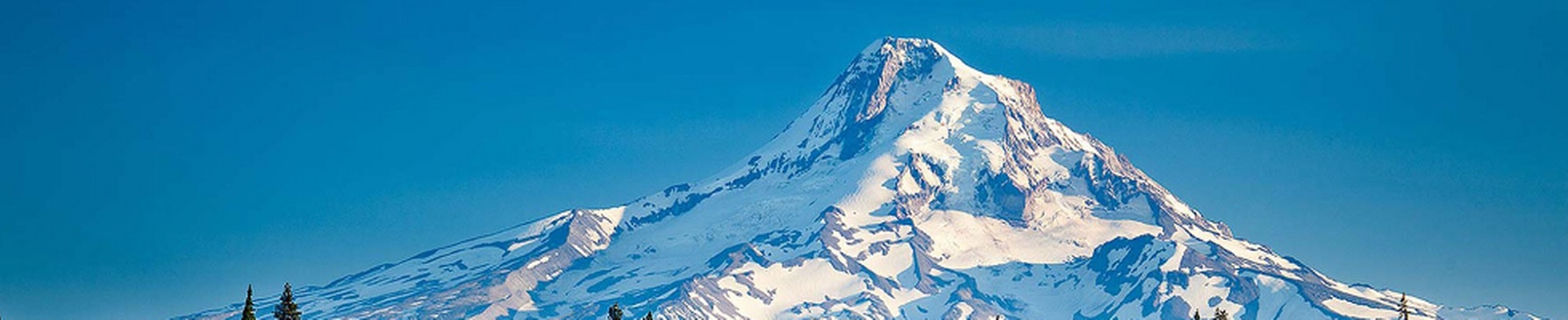 Company banner showing Visual Corporation branding
