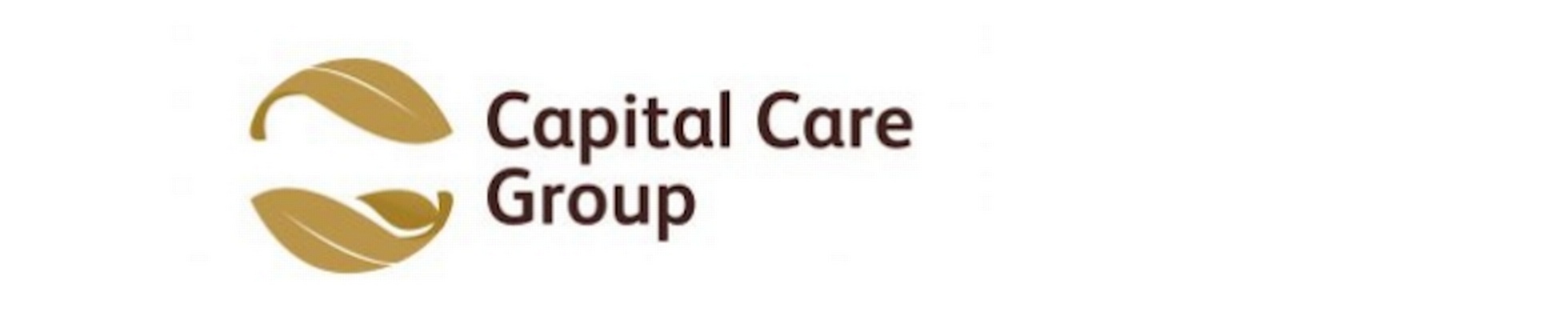 Company banner showing Visual Corporation branding