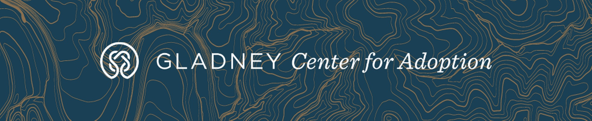 Company banner showing Visual Corporation branding