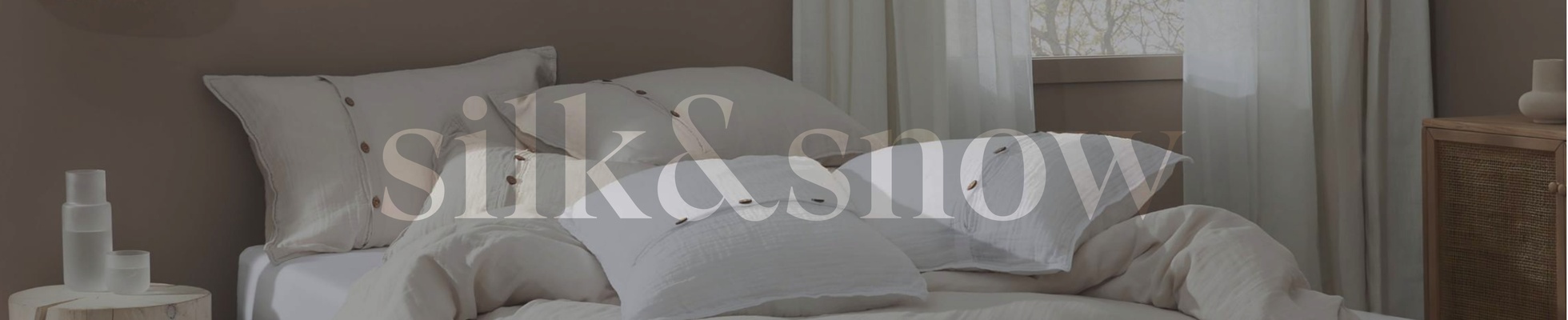 Silk and Snow logo