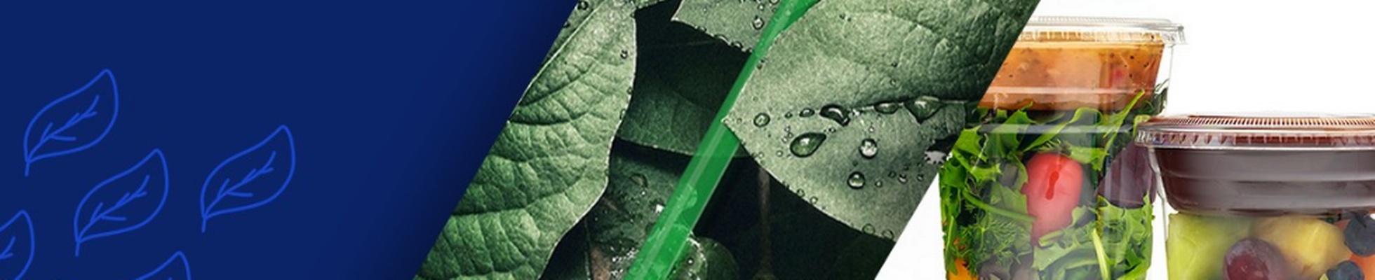 Company banner showing Visual Corporation branding