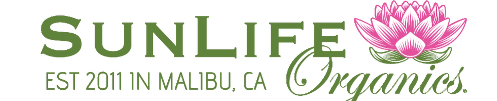 Company banner showing Visual Corporation branding