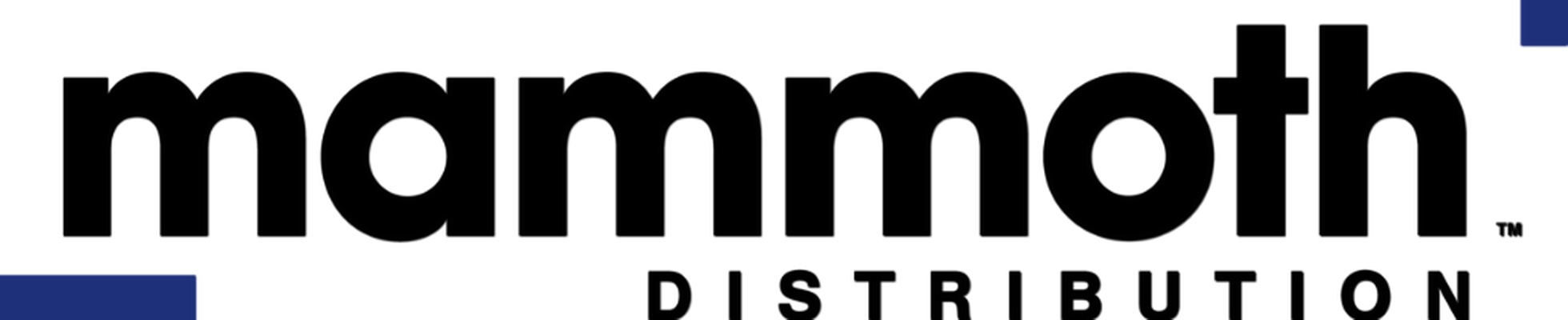 Company banner showing Visual Corporation branding