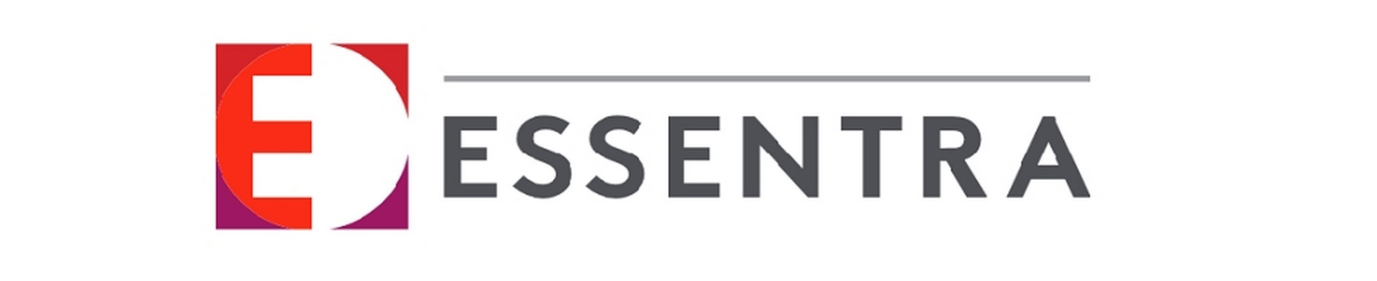 Company banner showing Visual Corporation branding