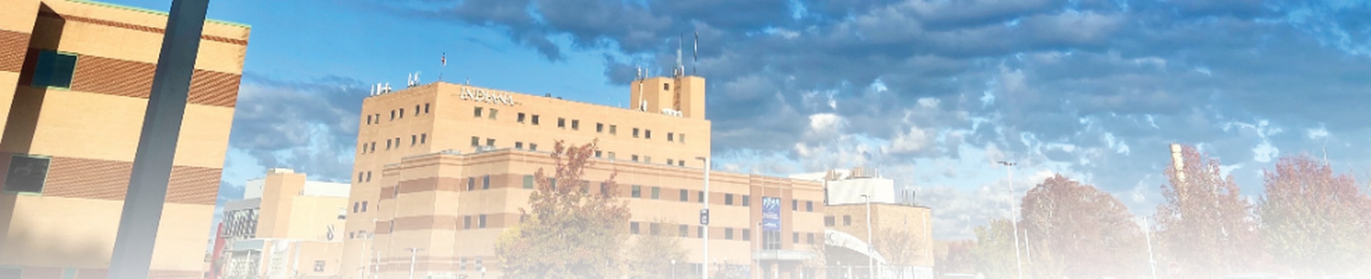 Company banner showing Visual Corporation branding