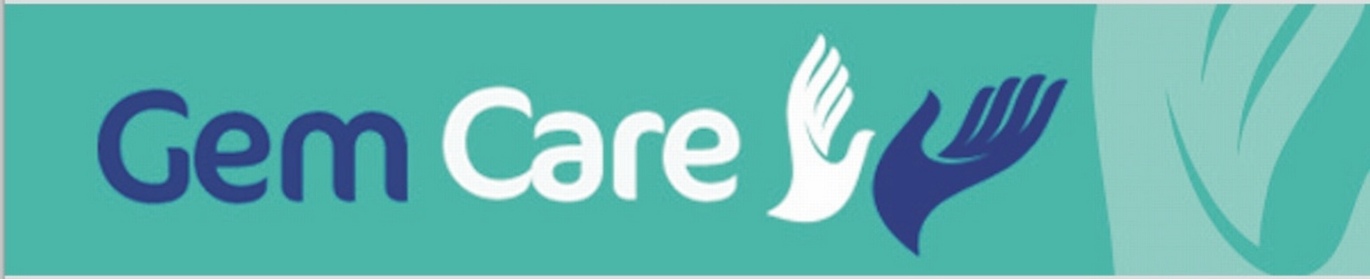 Company banner showing Visual Corporation branding
