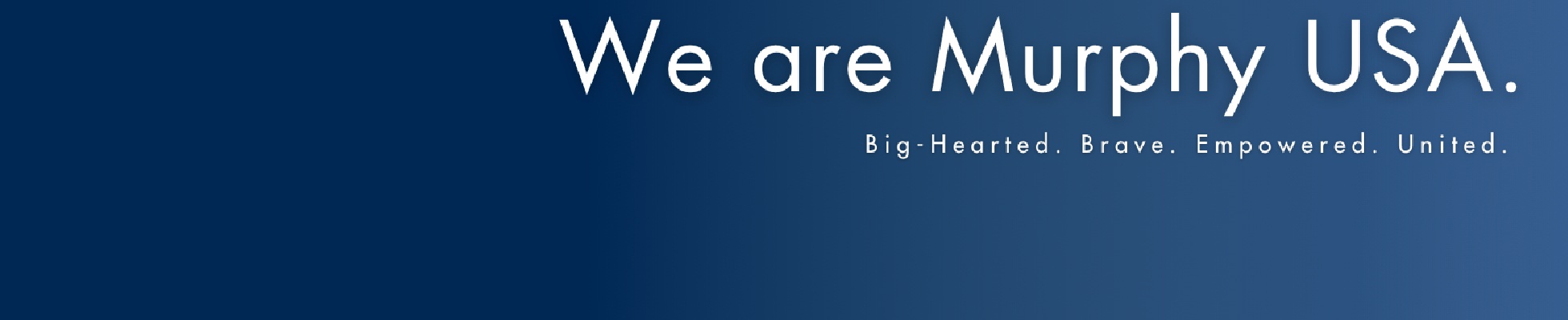 Company banner showing Visual Corporation branding