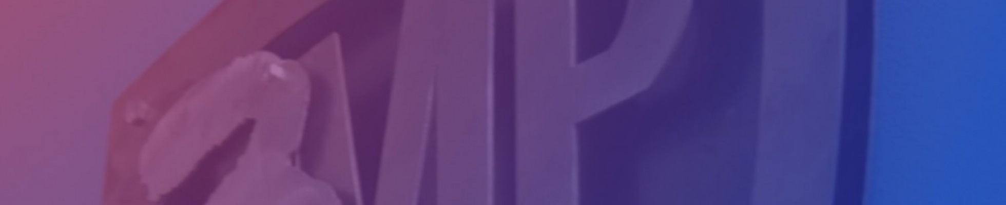 Company banner showing Visual Corporation branding