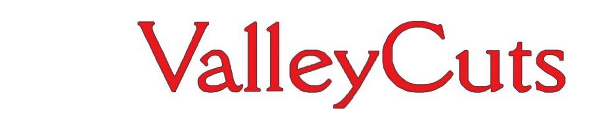 Company banner showing Visual Corporation branding