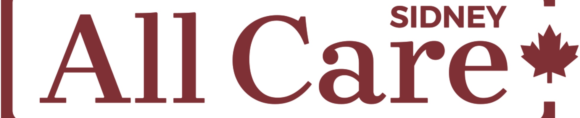 Company banner showing Visual Corporation branding