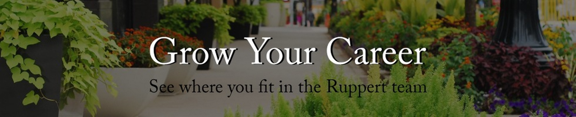 Company banner showing Visual Corporation branding