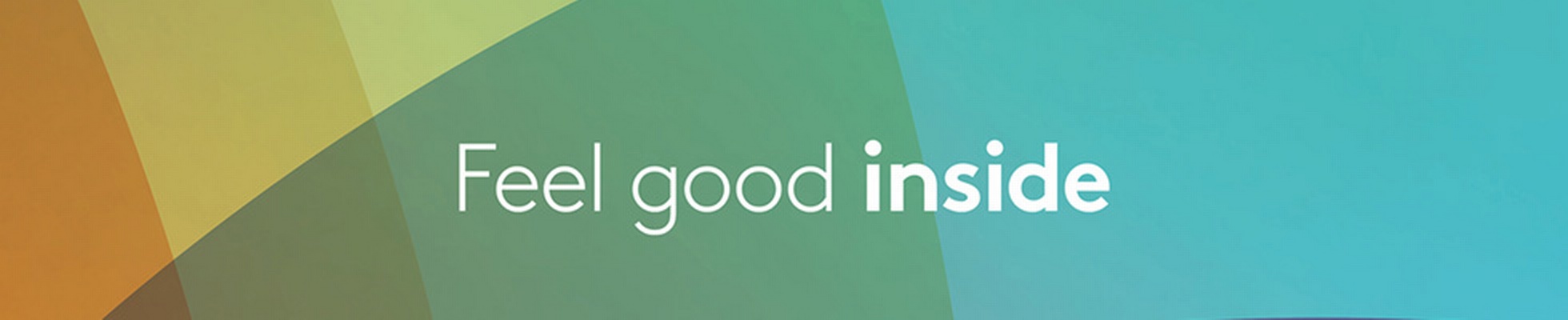 Company banner showing Visual Corporation branding