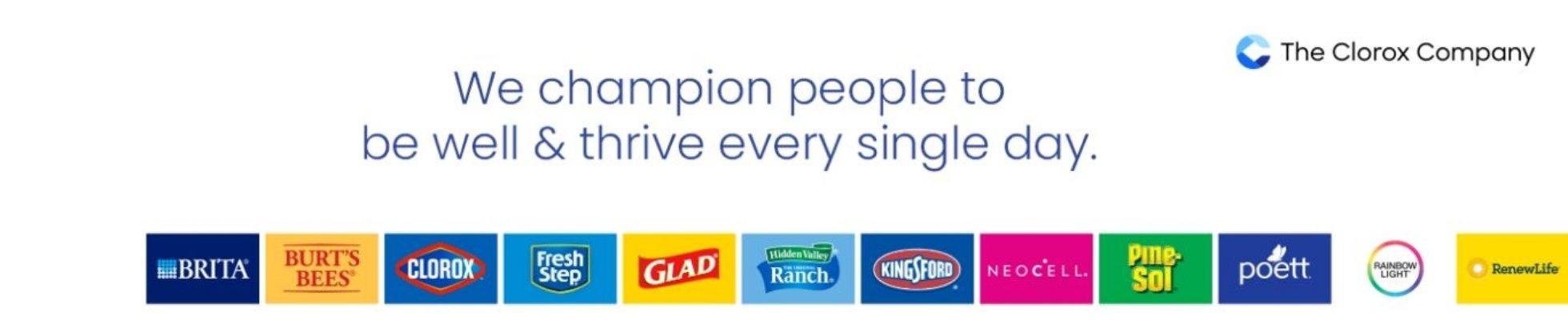 Company banner showing Visual Corporation branding