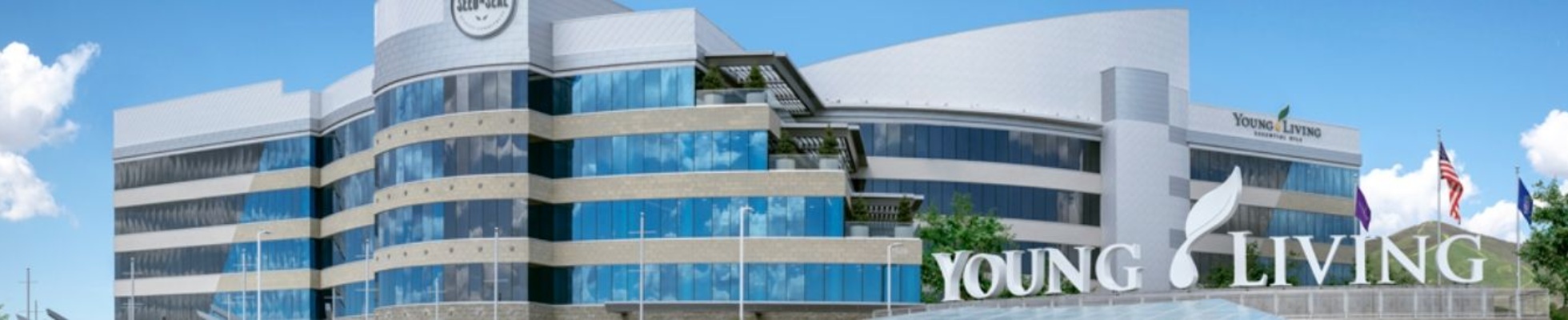 Company banner showing Visual Corporation branding