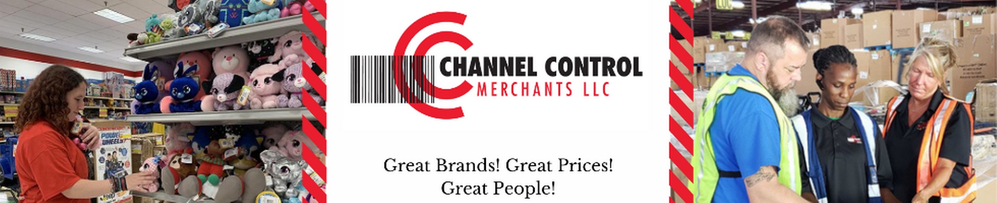 Company banner showing Visual Corporation branding