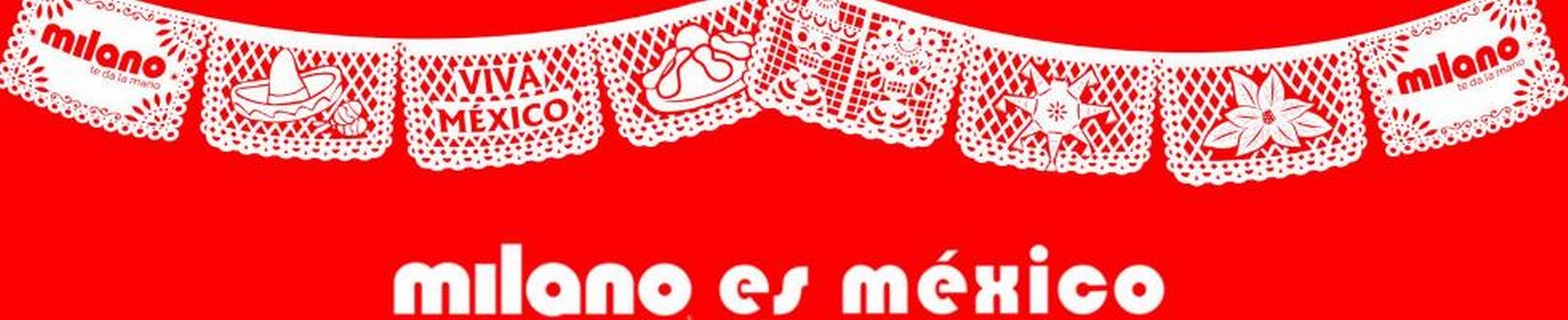 Company banner showing Visual Corporation branding