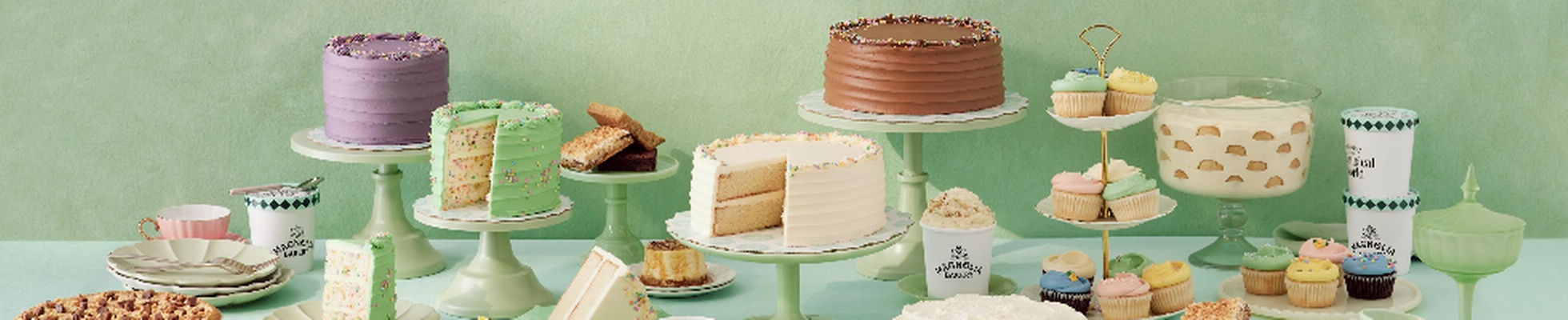 Company banner showing Visual Corporation branding