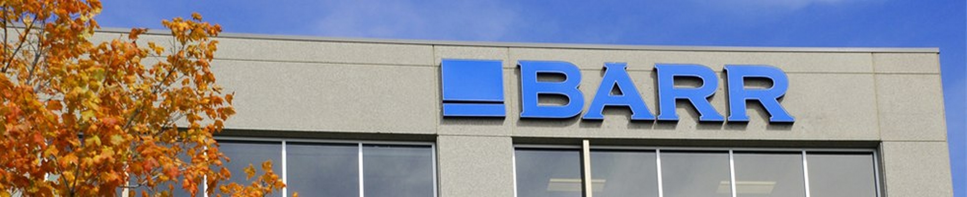 Company banner showing Visual Corporation branding