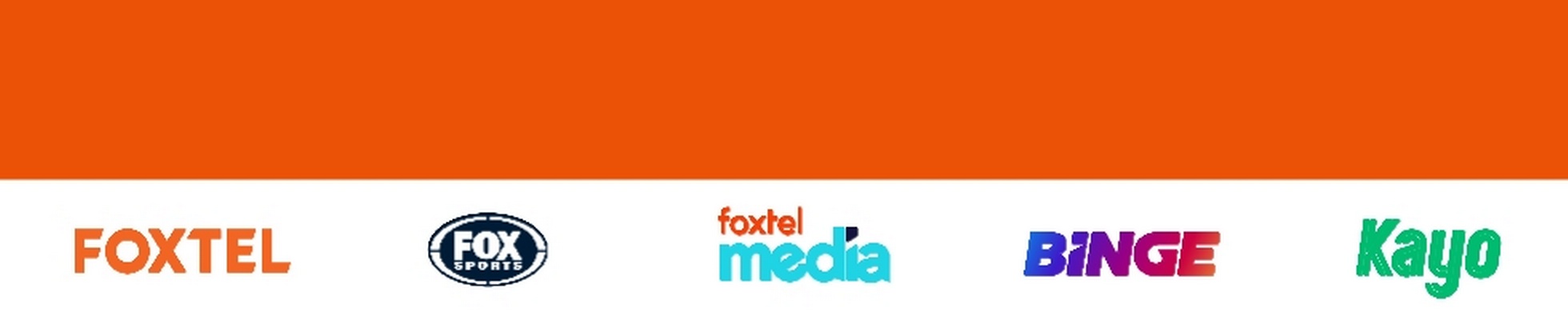 Company banner showing Visual Corporation branding
