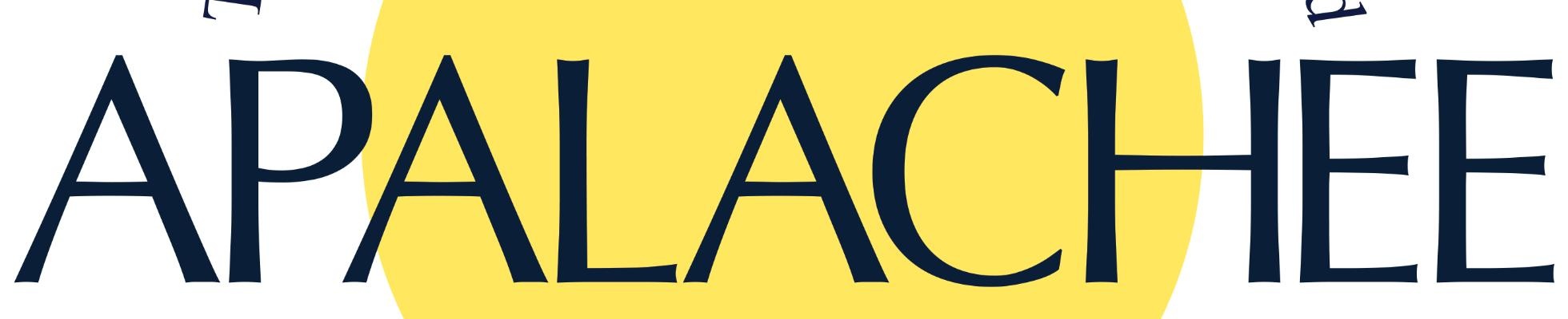Company banner showing Visual Corporation branding