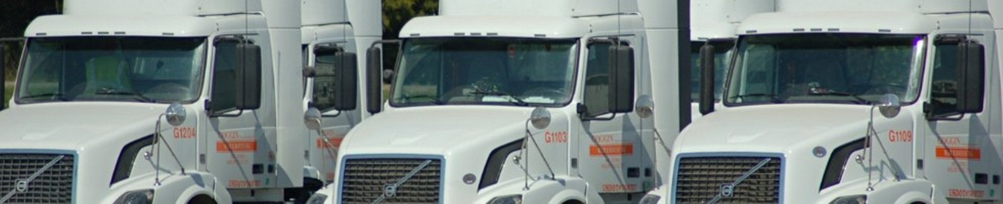 Company banner showing Visual Corporation branding
