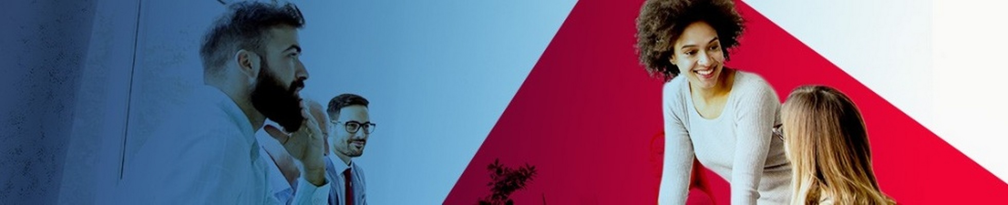 Company banner showing Visual Corporation branding