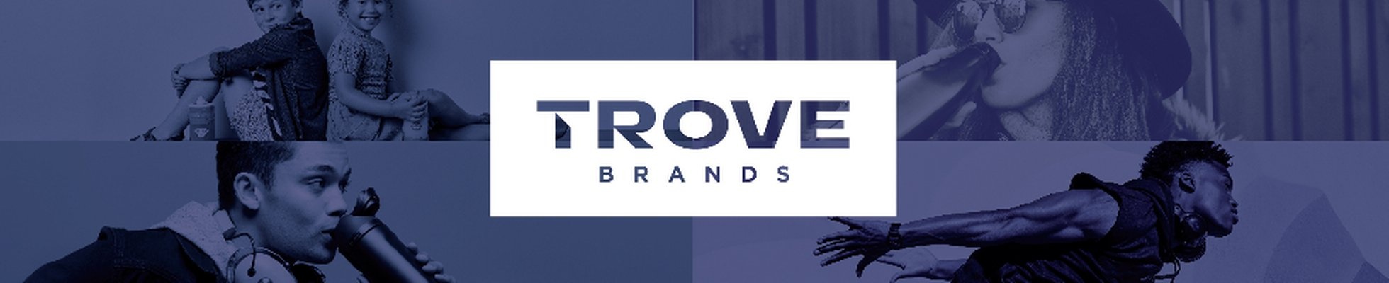 Company banner showing Visual Corporation branding