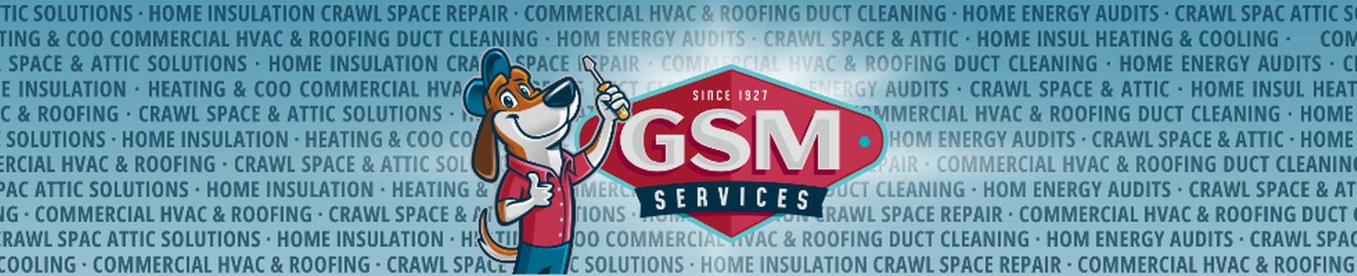 Company banner showing Visual Corporation branding