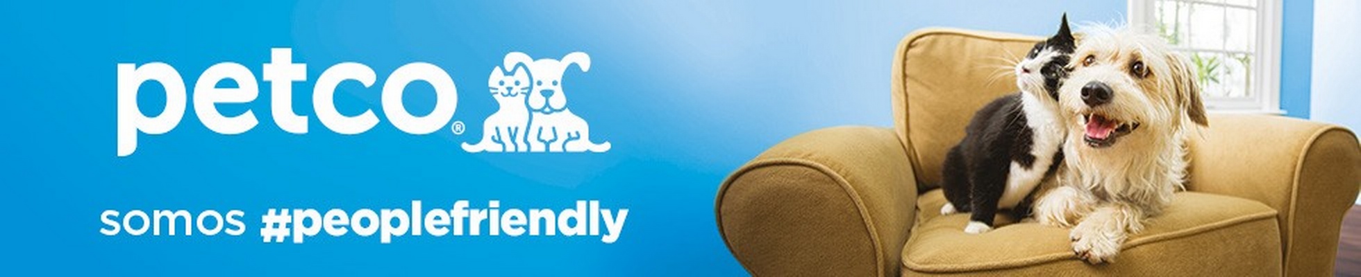Company banner showing Visual Corporation branding