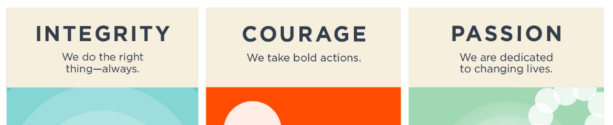 Company banner showing Visual Corporation branding