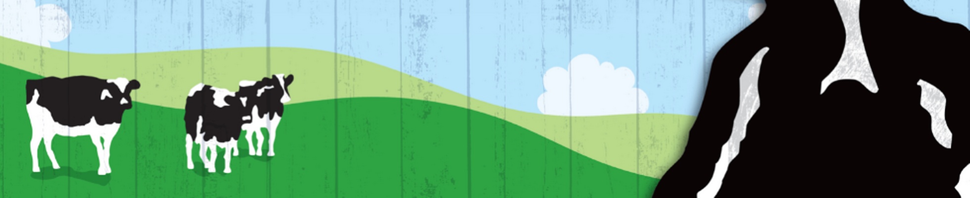 Company banner showing Visual Corporation branding