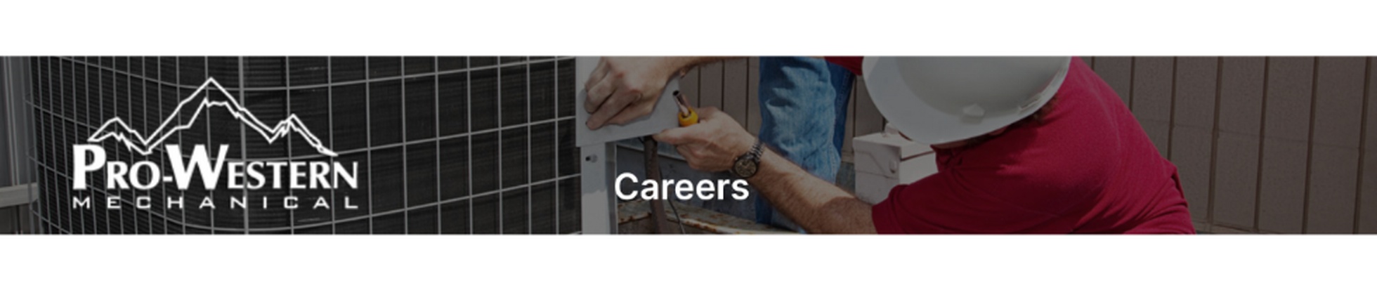 Company banner showing Visual Corporation branding