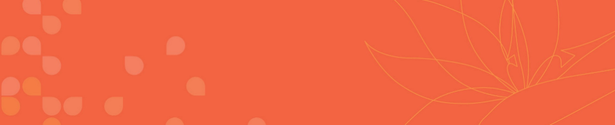 Company banner showing Visual Corporation branding