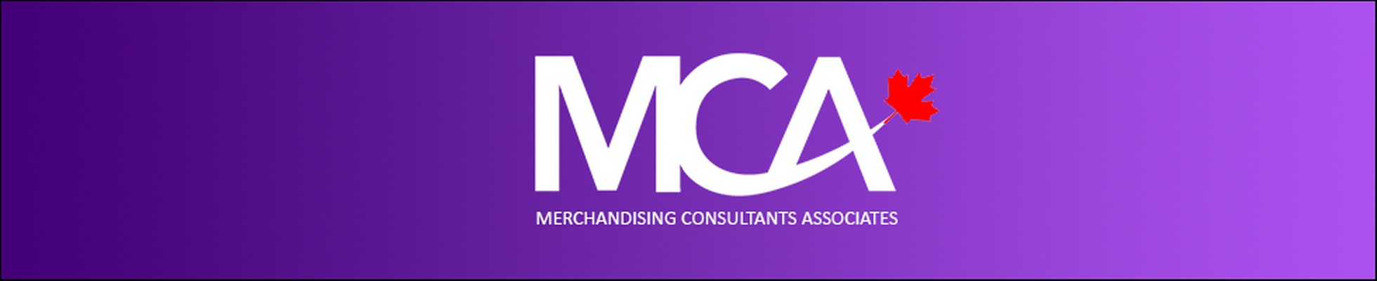 Company banner showing Visual Corporation branding