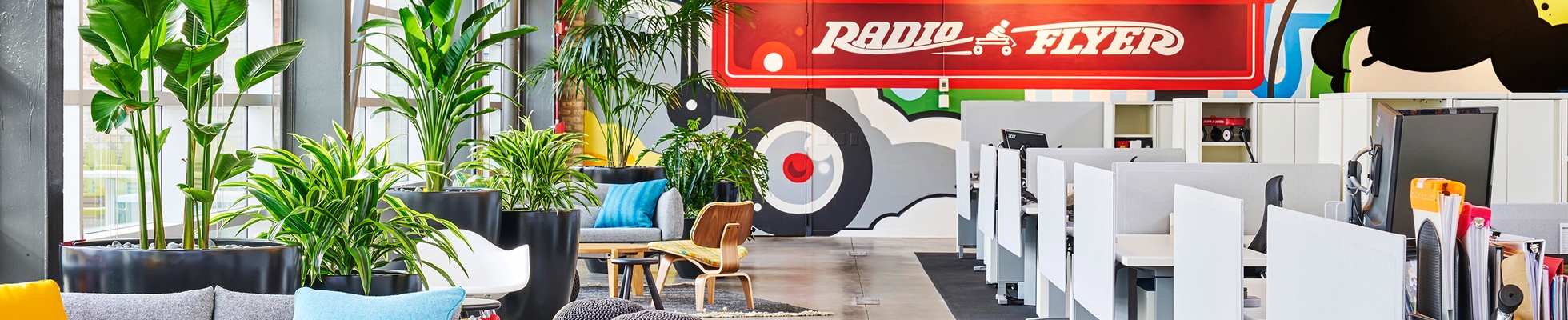 Company banner showing Visual Corporation branding